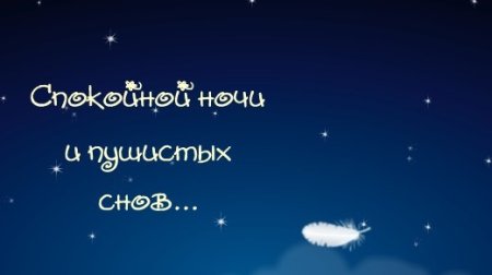 Спокойной ночи пушистых снов