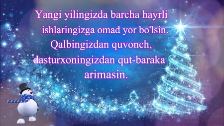 Yangi yilingiz Muborak bo`lsin!