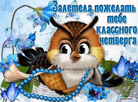 Поздравления с четвергом прикольные