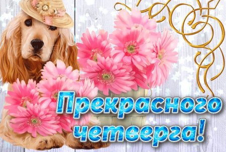 Хорошего четверга