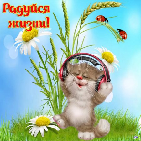 Доброе утро четверга