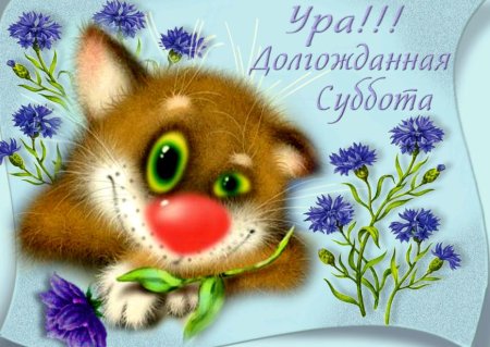 Доброе утро субботы прикольные