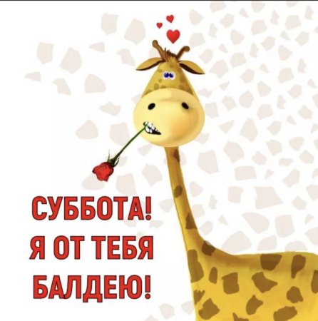 Открытки с субботой прикольные