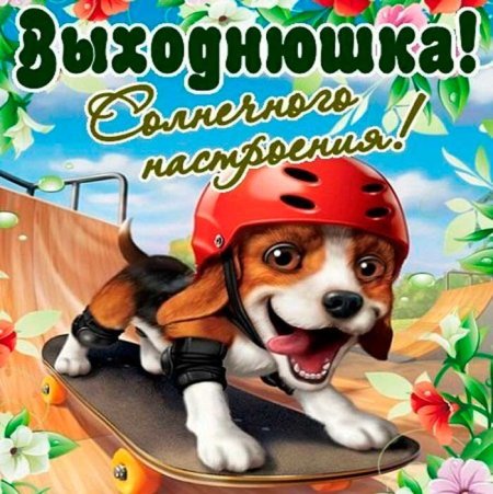 Открытки веселых выходных