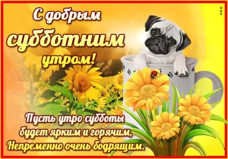Поздравления с субботой прикольные