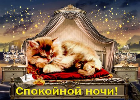 Открытка спокойной ночи с котом