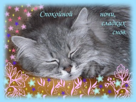 Спокойной ночи приятных сновидений