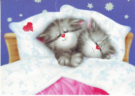 Котенок. Спокойной ночи!