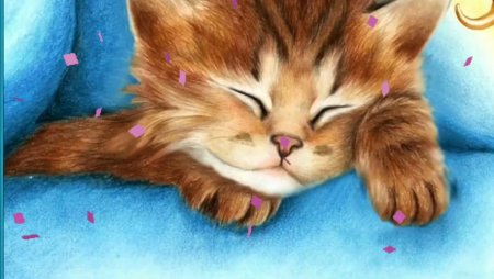 Спи спокойно котенок