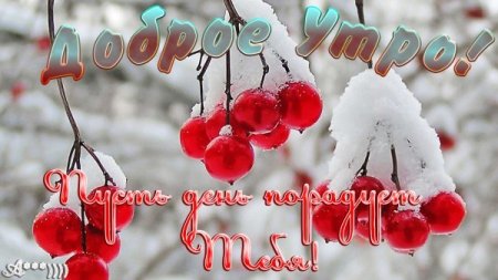 С добрым зимним субботник утром