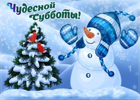 Чудесной зимней субботы