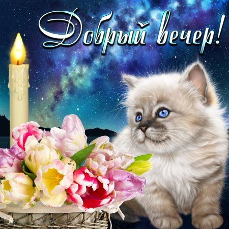 Доб вечер открытки