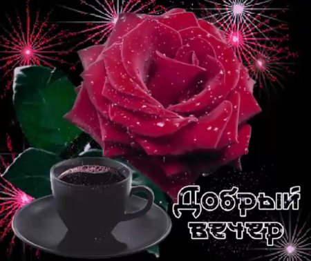 Добрый вечер красивые