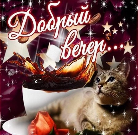 Приветствие с добрым вечером