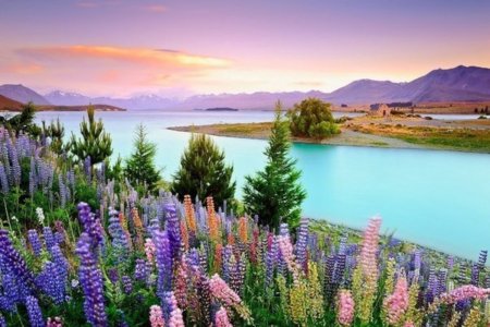 Озеро Текапо (Lake Tekapo)