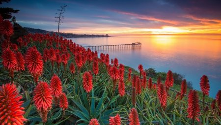 Экзотическая природа