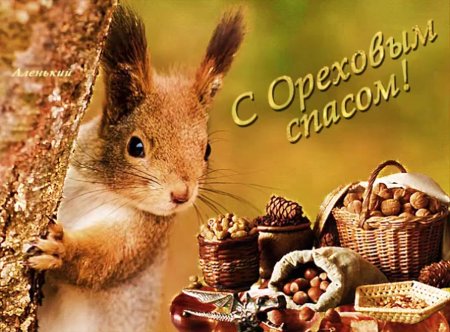 Ореховый спас 2020