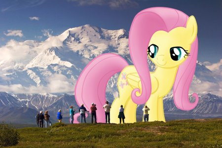 Giant Fluttershy
