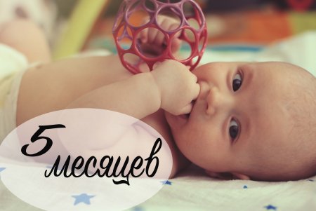 5 Месяцев ребенку поздравления