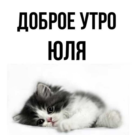 Доброе утро юл