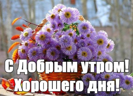 Открытка с добрым утром Надюшка