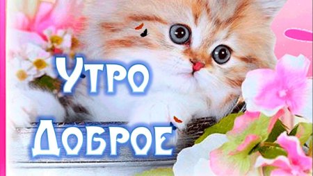 Юленька доброе утро милая