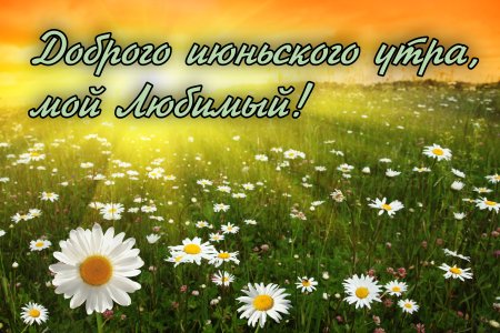 Солнечный пейзаж