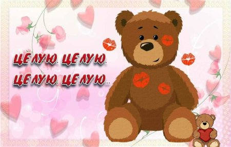 Целую обнимаю