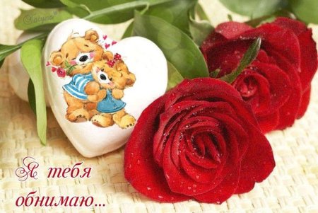 Обнимаю тебя крепко крепко