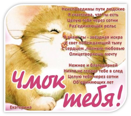 Чмок открытка