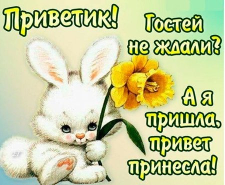 Приветик картинки