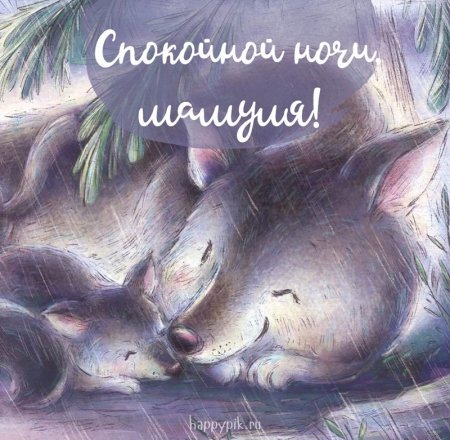 Спокойной ночимамочеп