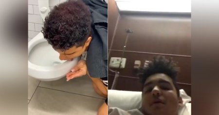 Облизала ободок унитаза