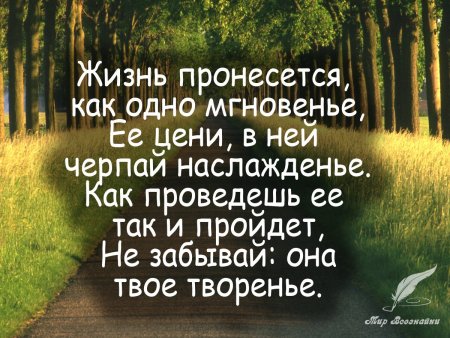 Мудрые высказывания