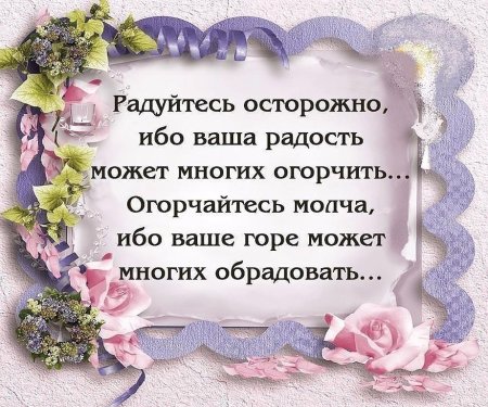 Радость жизни цитаты