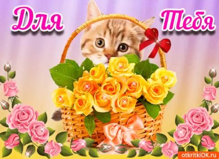Открытка для тебя просто так