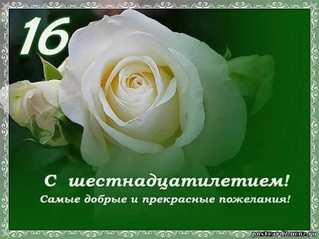 Поздравление с днём рождения 16 лет девушке