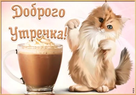 Доброе утро котик
