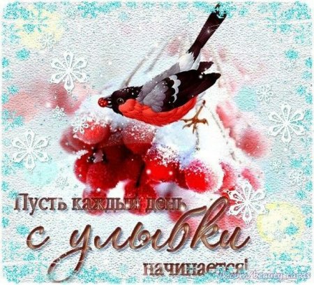 Хорошего начала дня зима