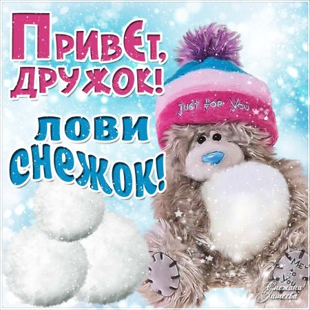 Зимний приветик