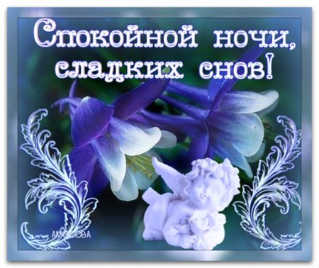 Благословенной ночи сладких снов