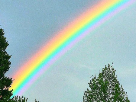 Живая Радуга