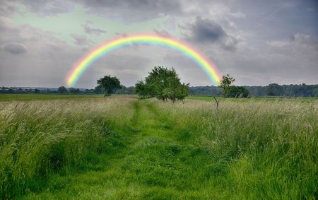 Радуга в природе