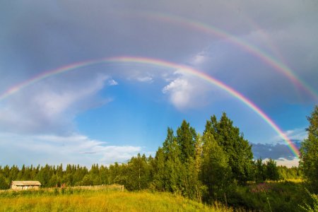 Радуга после дождя в лесу