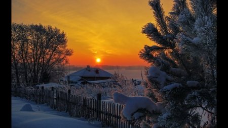 Теплой зимней ночи