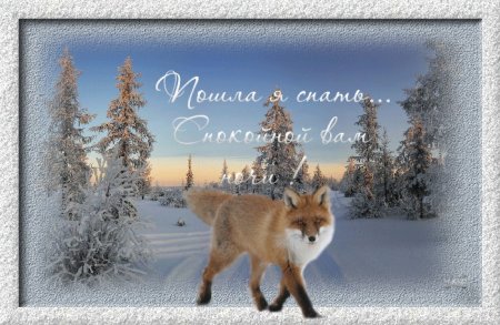 Доброй зимней ночи