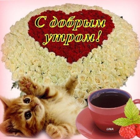 С добрым утром