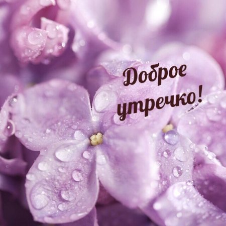 Доброе утро именинник открытка