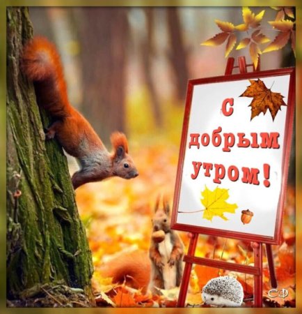 С добрым осенним утром прикольные