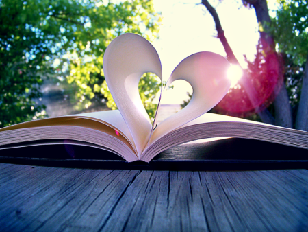 Сердце из книг